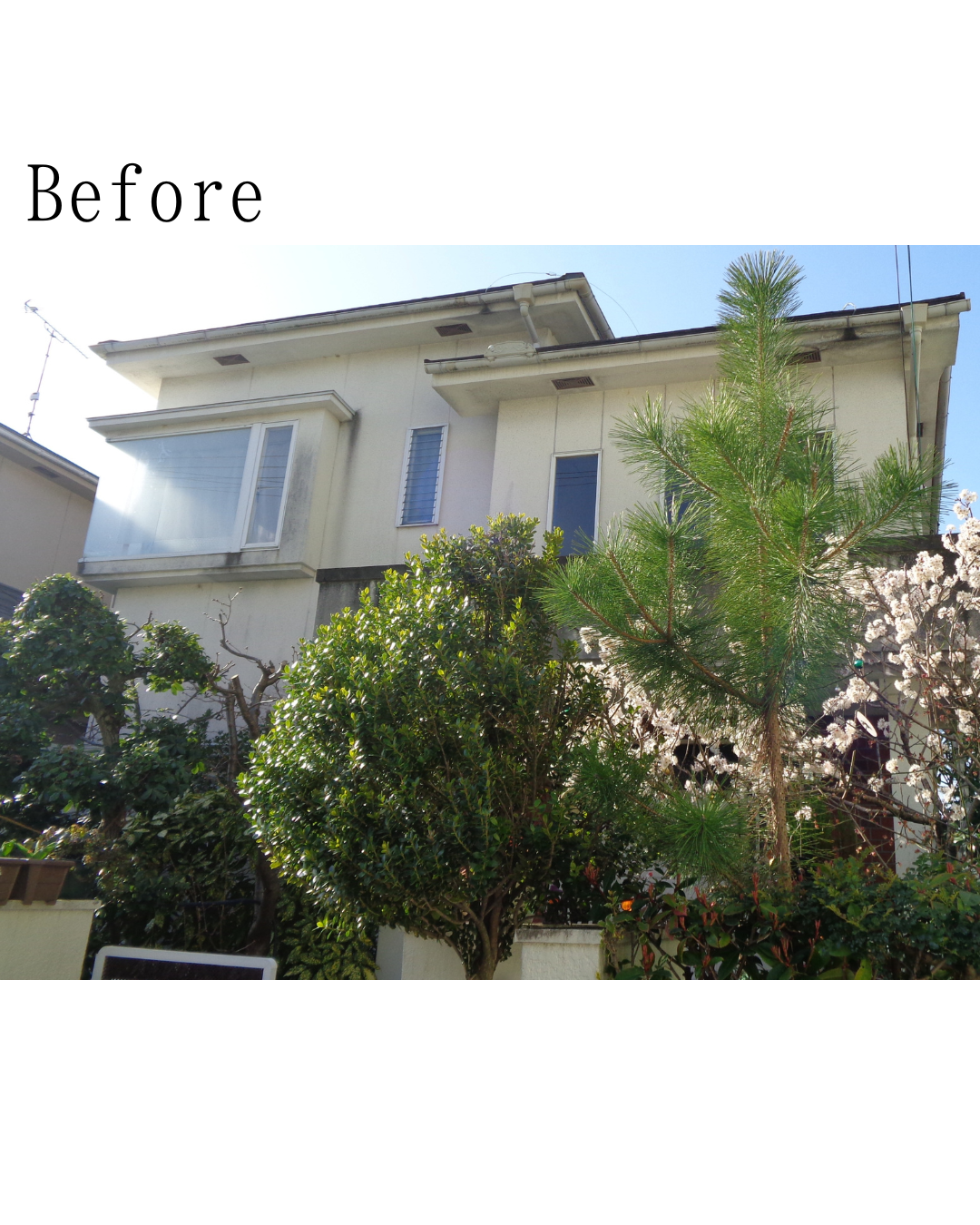 Before