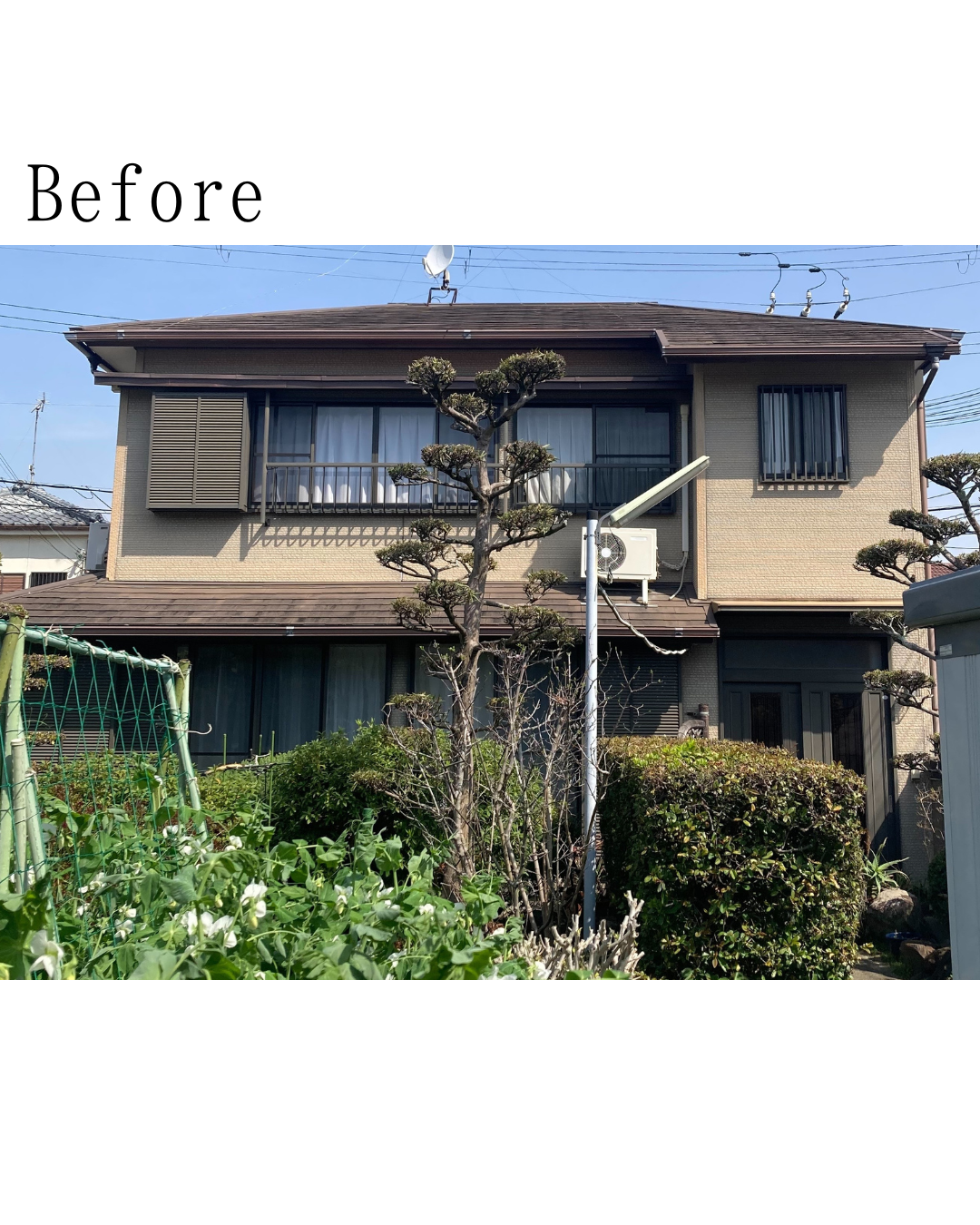 Before