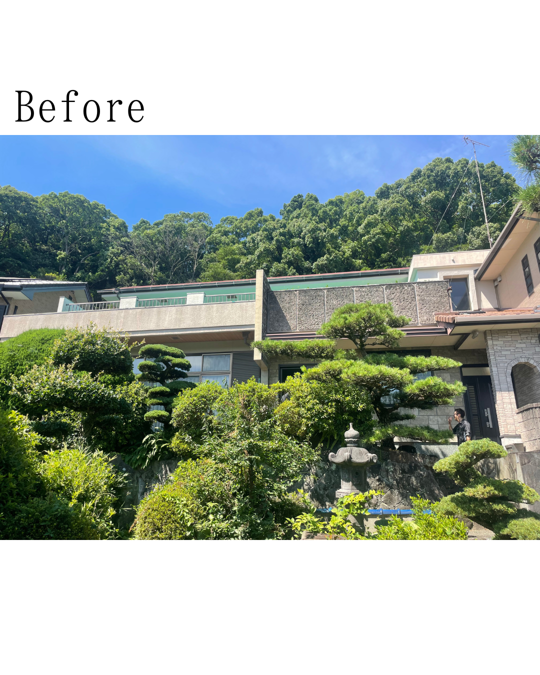 Before