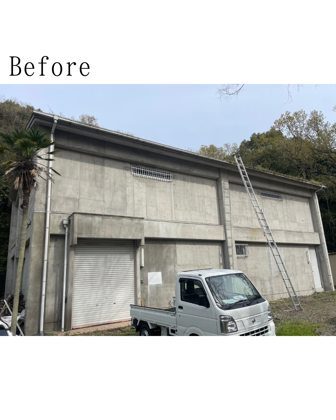 Before